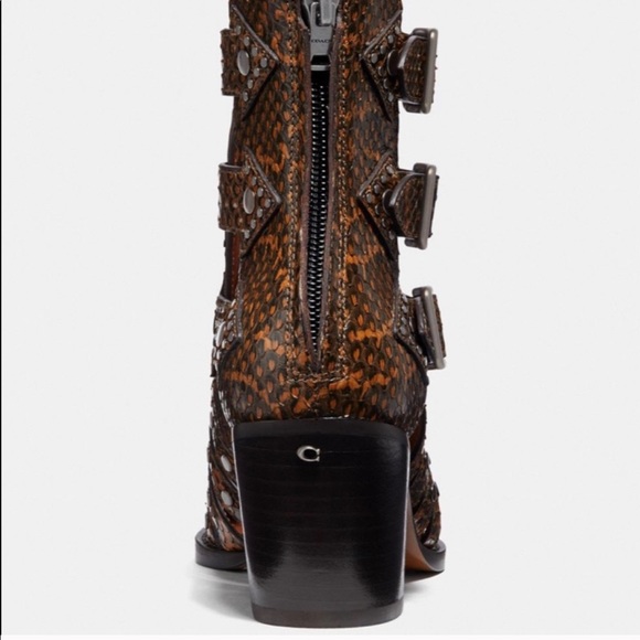 Coach Phoebe CutOut Bootie in Snakeskin - Picture 10 of 14